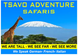 Tsavo Adventure Safaris
